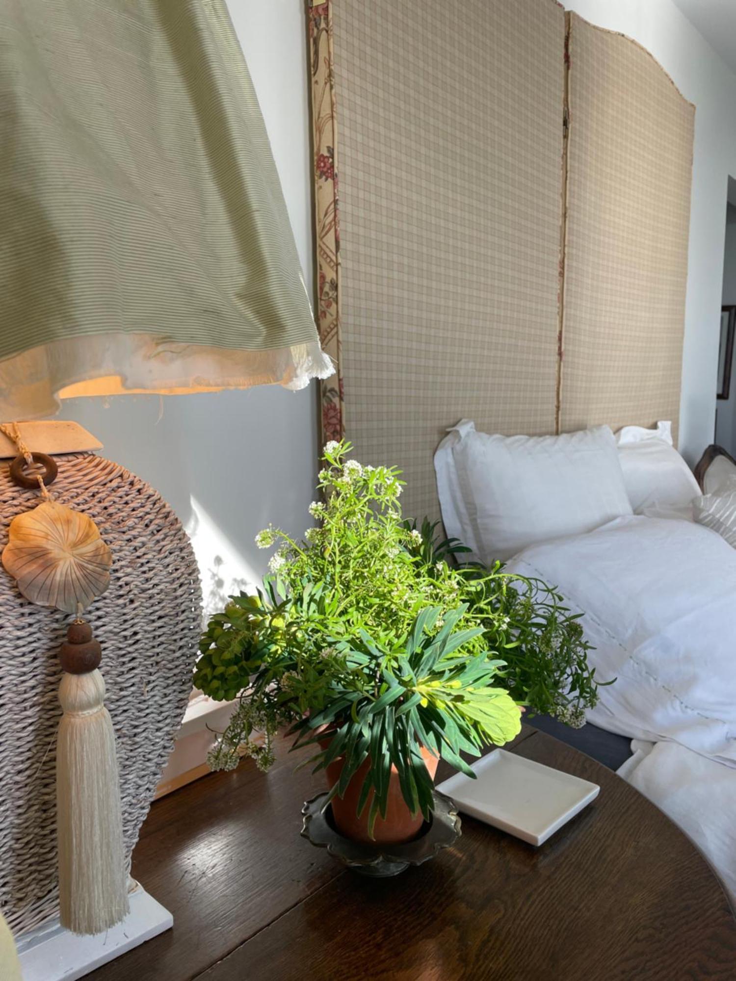 340 Deg Alps & Sea Bed & Breakfast Christchurch Eksteriør bilde